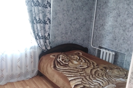 Однокомнатная квартира на сутки, часы в Кричеве.