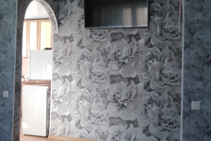 Однокомнатная квартира на сутки, часы в Кричеве.